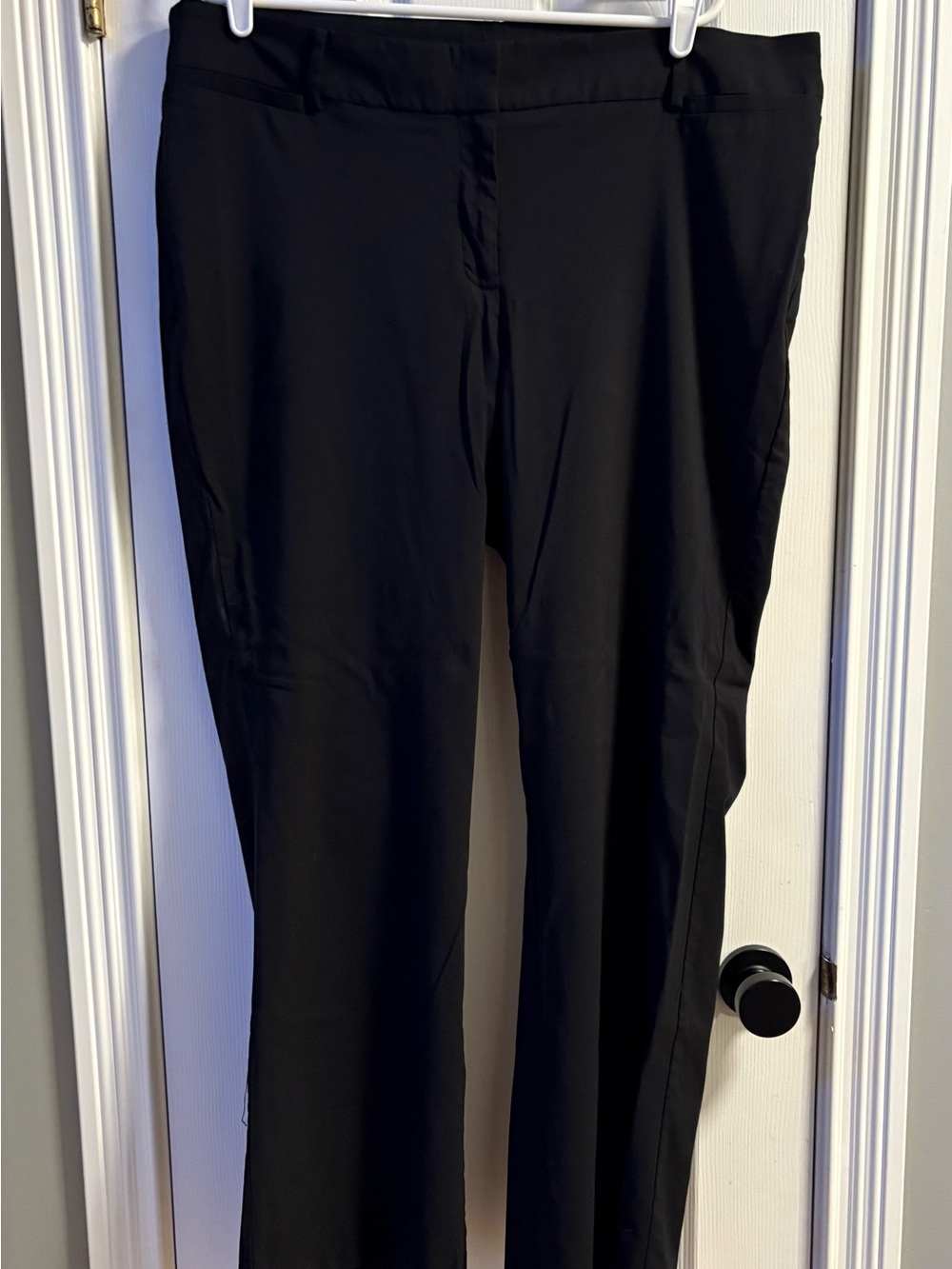 Lane Bryant “The Allie” Pants